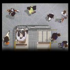All American RE panoramic sightline All American RE panoramic sightline