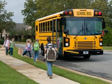 New Blue Bird School Buses