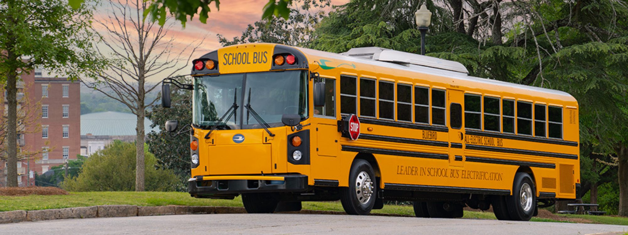 Blue Bird Electric Buses 