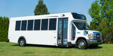 Micro Bird D-Series Buses