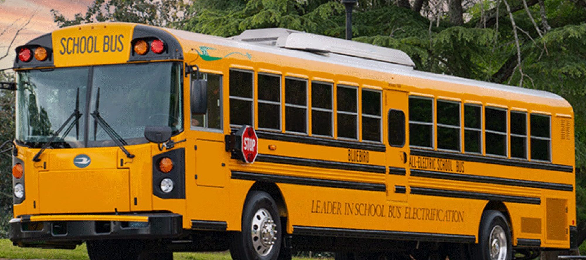 Blue Bird Electric Buses 