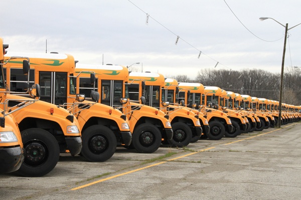 new buses